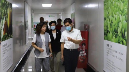 市人大常委会党组书记、主任王磊到我司督导调研工作